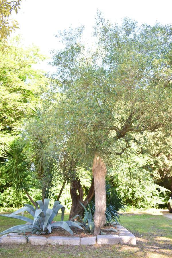La Villa Saint Andre - Argeles Sur Mer エクステリア 写真