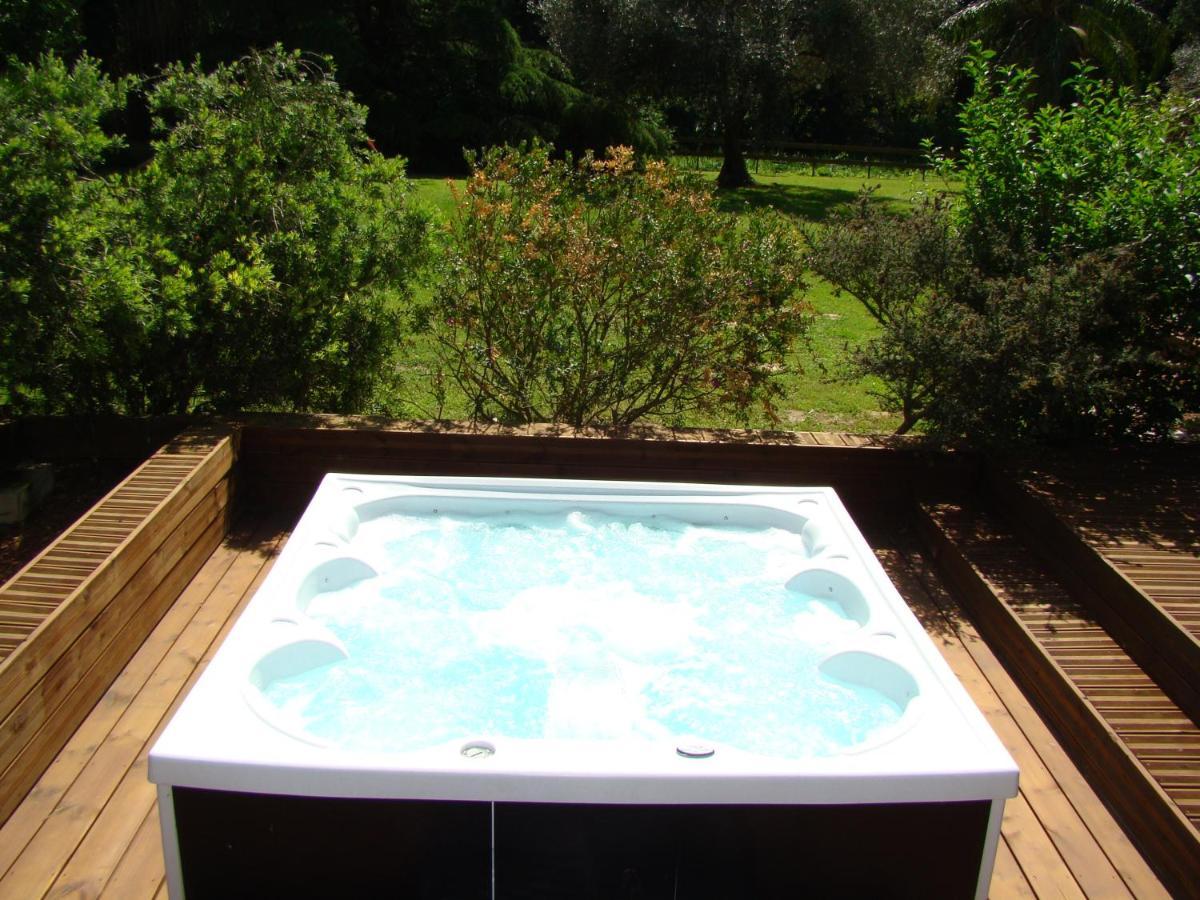 La Villa Saint Andre - Argeles Sur Mer エクステリア 写真