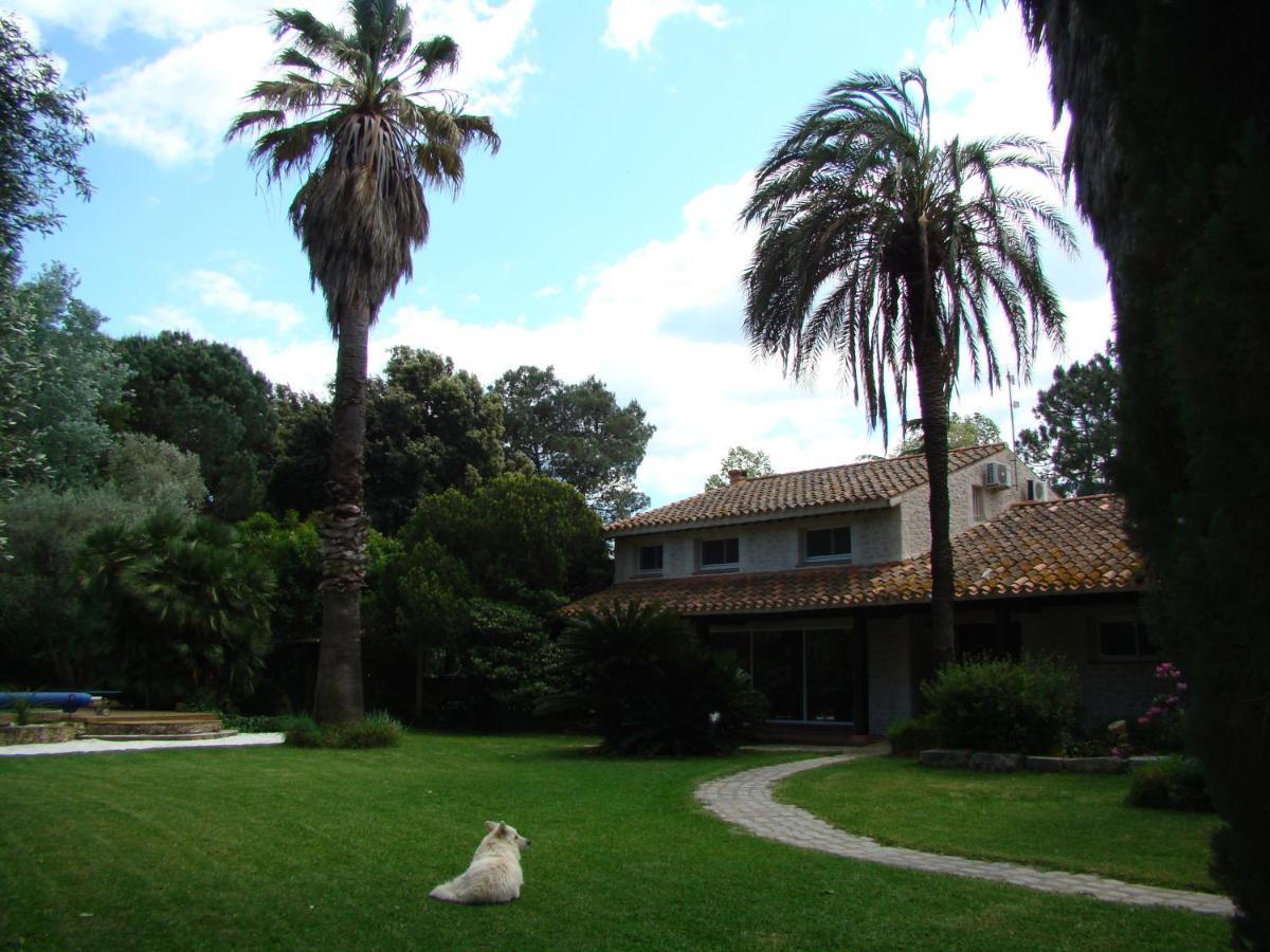La Villa Saint Andre - Argeles Sur Mer エクステリア 写真
