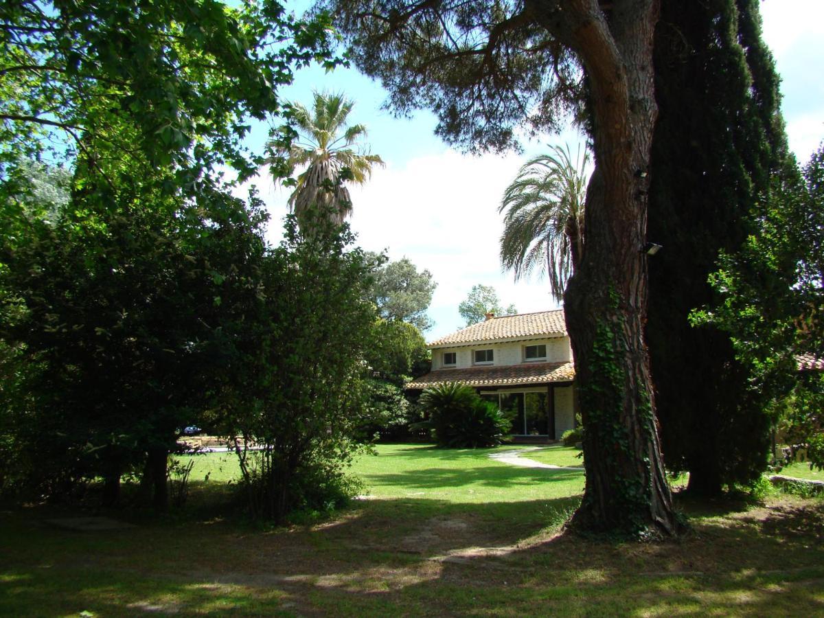 La Villa Saint Andre - Argeles Sur Mer エクステリア 写真
